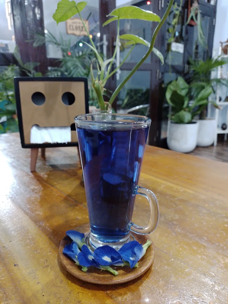 Teh Bunga Telang